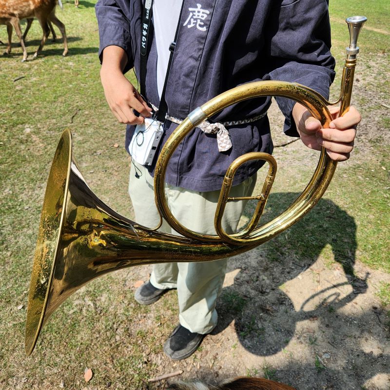 In the fresh morning air, the attendants blow a horn, and many deer gather when they hear the sound. 